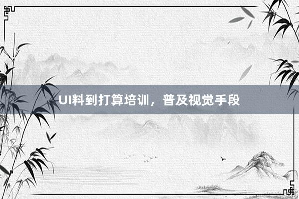 UI料到打算培训，普及视觉手段