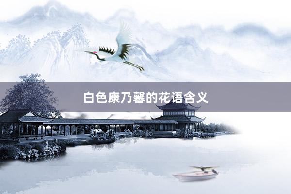 白色康乃馨的花语含义